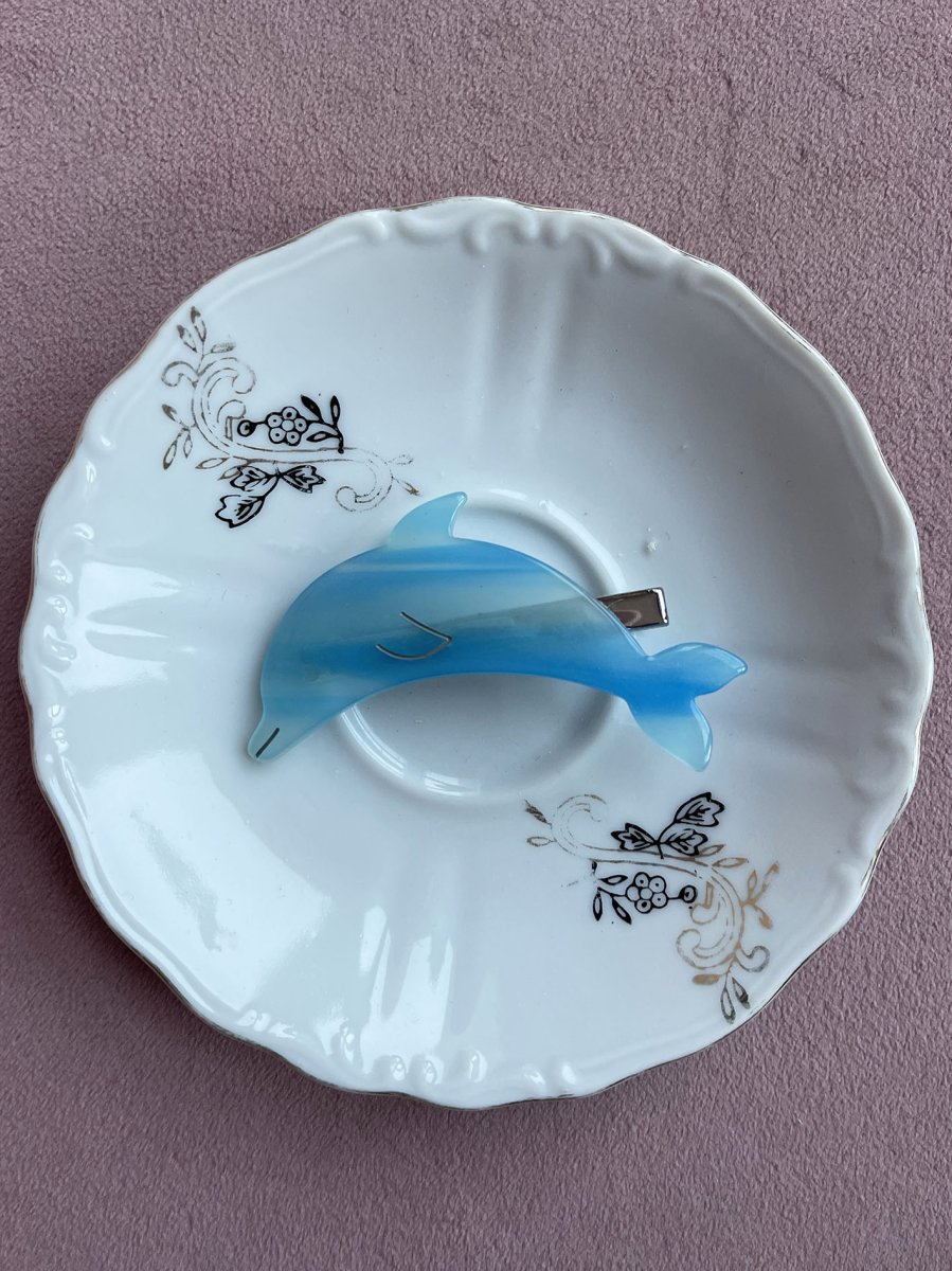 The Dolphin Clip - immagine 4